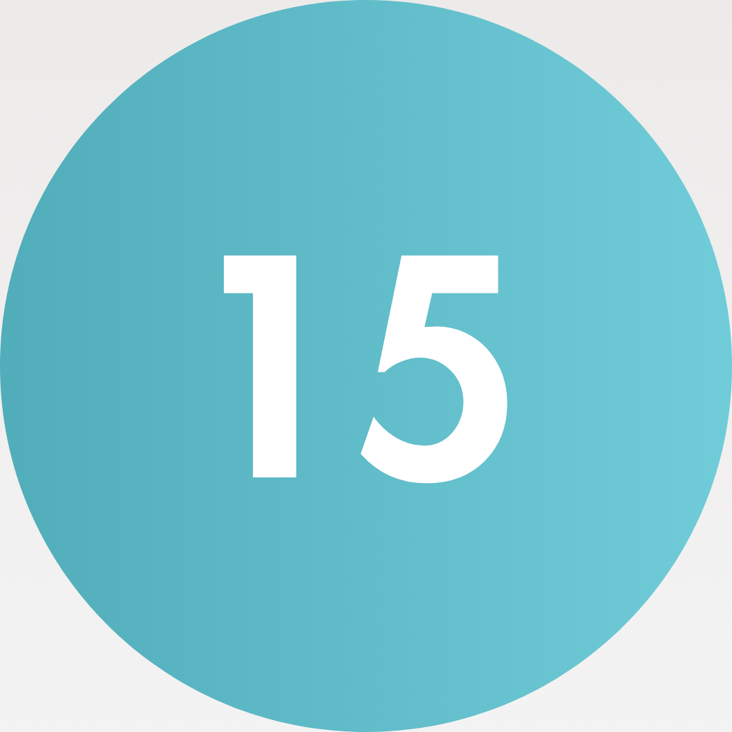 Homepage + 15 Unterseiten